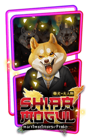 Shiba mogul